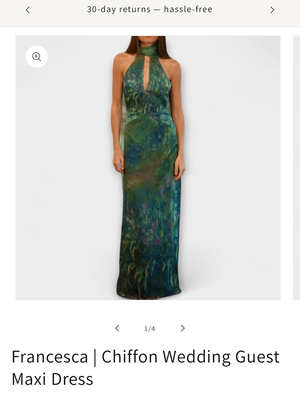 Francesca's Collections Green and Blue Halter Chiffon Maxi Dress